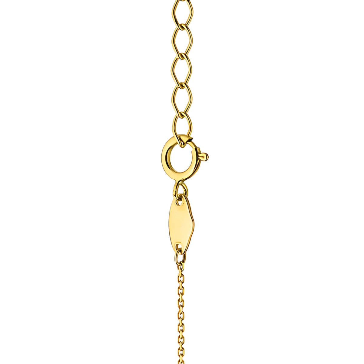 This 14-carat gold necklace is an exclusive accessory. Gold jewellery is an excellent choice for a gift.