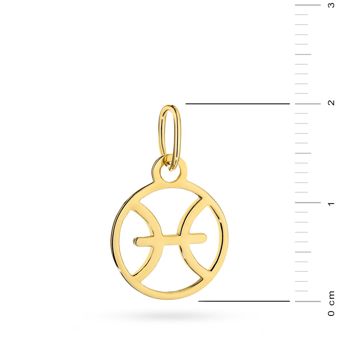 14-caraat Gold Pendant Zodiac Sign Pisces. Charm is packed in an elegant box, perfect for a gift.