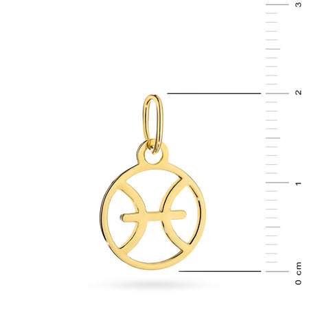 14-caraat Gold Pendant Zodiac Sign Pisces. Charm is packed in an elegant box, perfect for a gift.