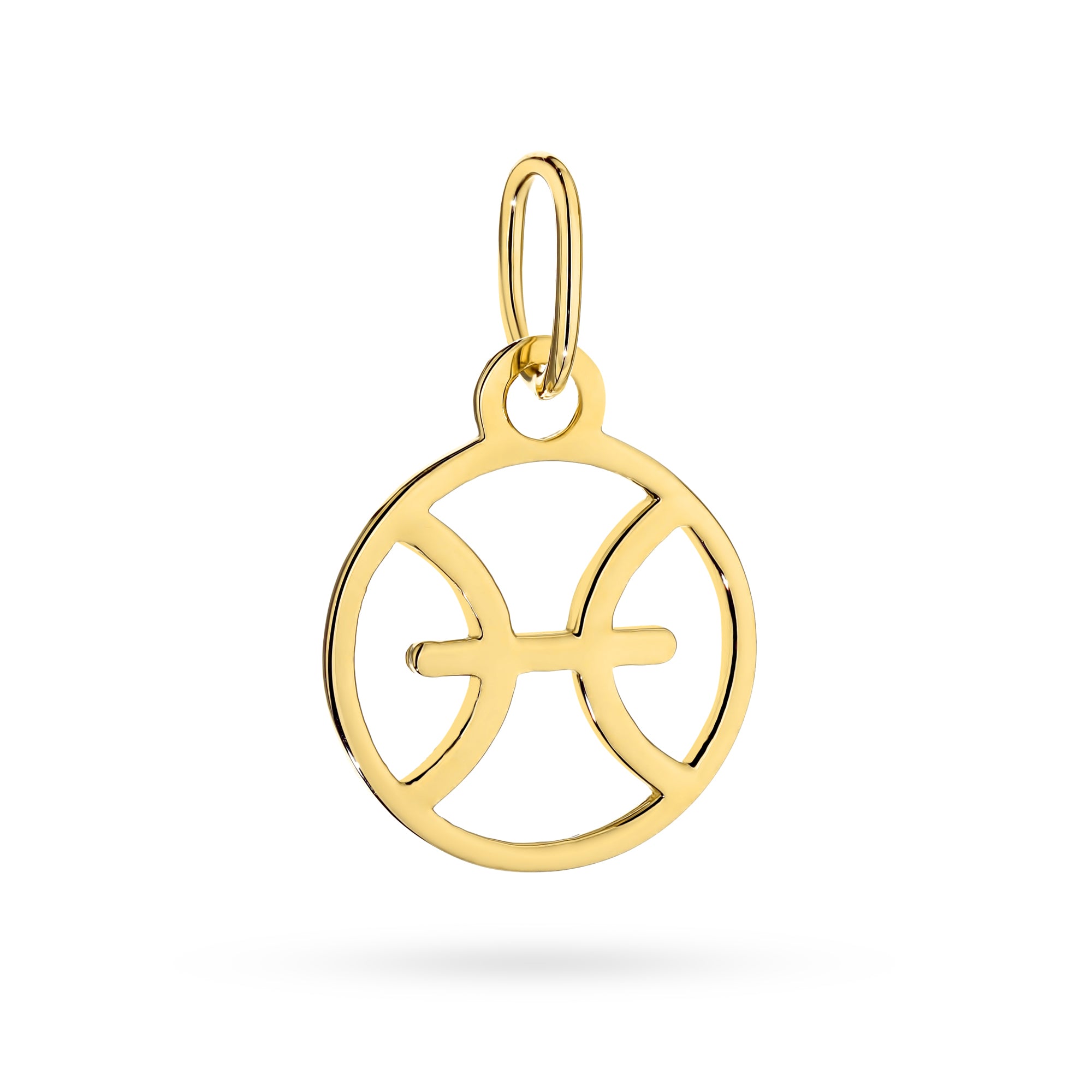 14-caraat Gold Pendant Zodiac Sign Pisces. Charm is packed in an elegant box, perfect for a gift.